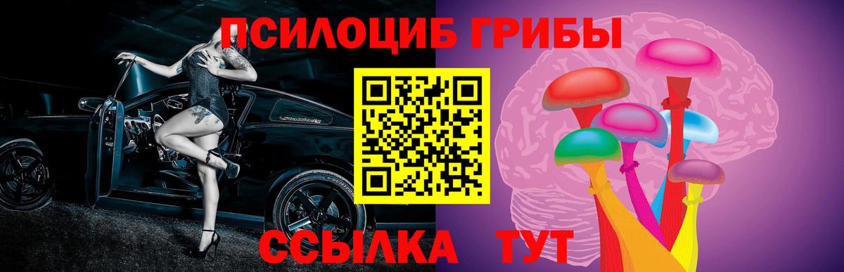 Сокол  Галлюциногенные грибы Magic Shrooms  Вход с VPN 